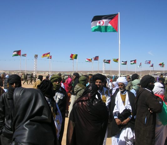 Commemoration of the 30th anniversary of the liberation Sahrawi aeras of Western Sahara_Jaysen Naidoo_flickr